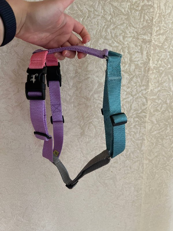 Анатомическая шлейка шарик дог, поводки про комфорт с карабином автоблок