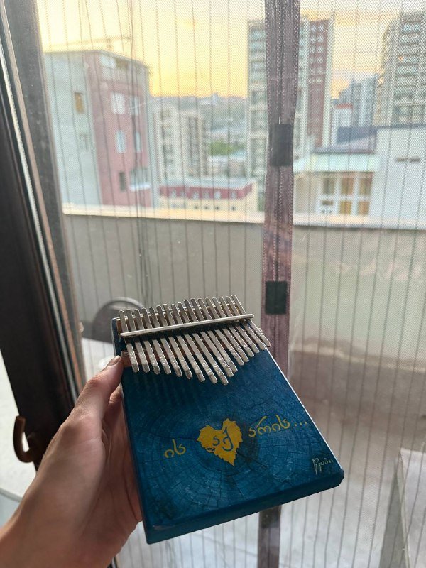 настольная игра, калимба, чехол iPhone, рюкзак переноска, туалет кошачий, ошейник, поводок рулетка 2