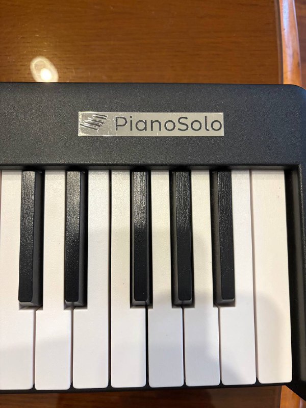 Электронное фортепиано PianoSolo 2
