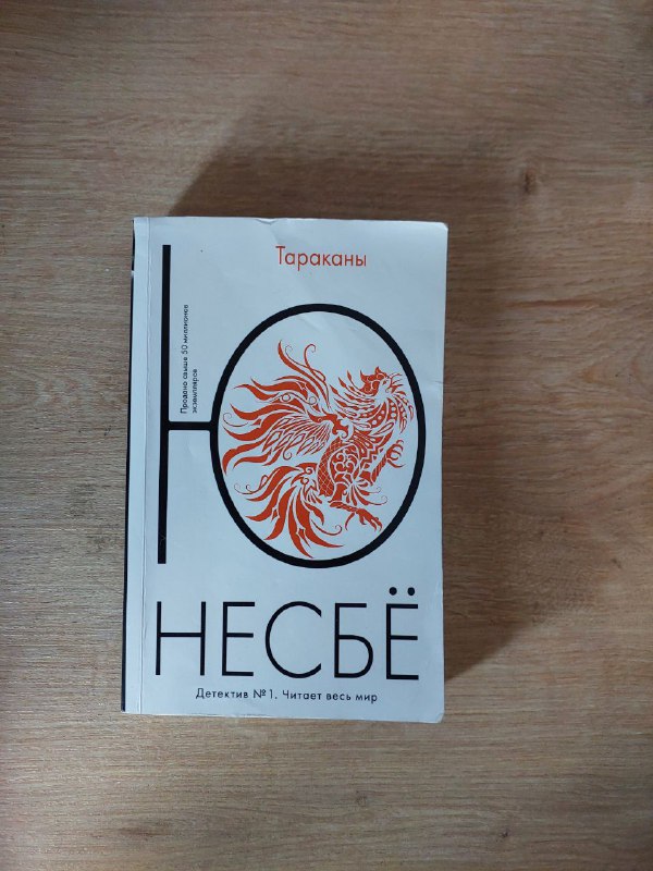 Книги Sherlock Holmes, Cambridge, Несбе, Достоевский, Браун 2