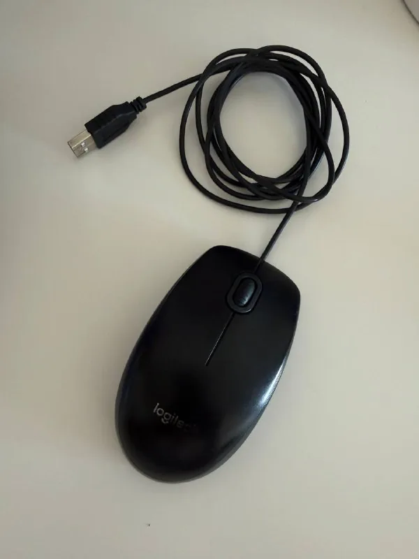 Компьютерная мышь Logitech B100 USB 1