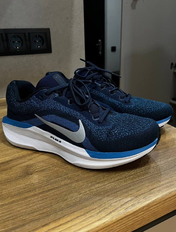 Кроссовки беговые мужские Nike Winflo 11