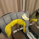 Новый комбинезон для собаки 2