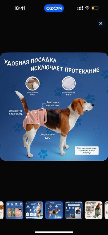 Трусы для собак на средний размер, 3 штуки 3
