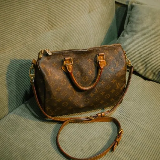 Louis Vuitton Speedy 30 Bandouliere
