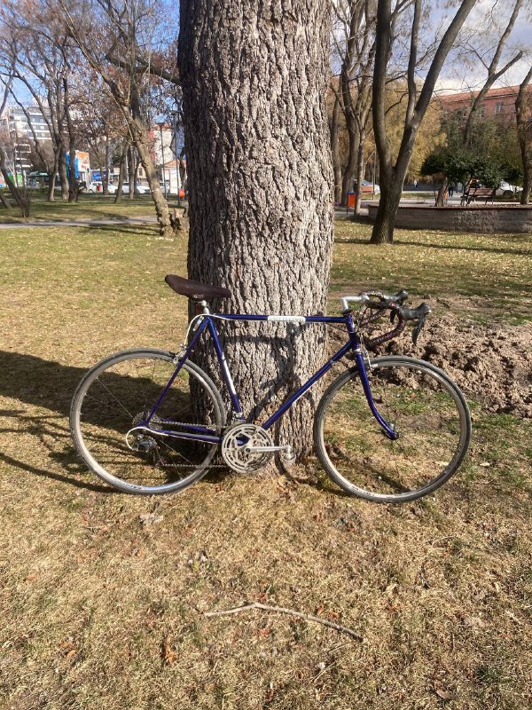 Lewis Cycles Ultegra Dura Ace upgraded 6