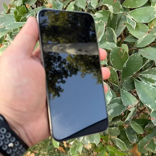 iPhone 15 Pro Max 256 ГБ