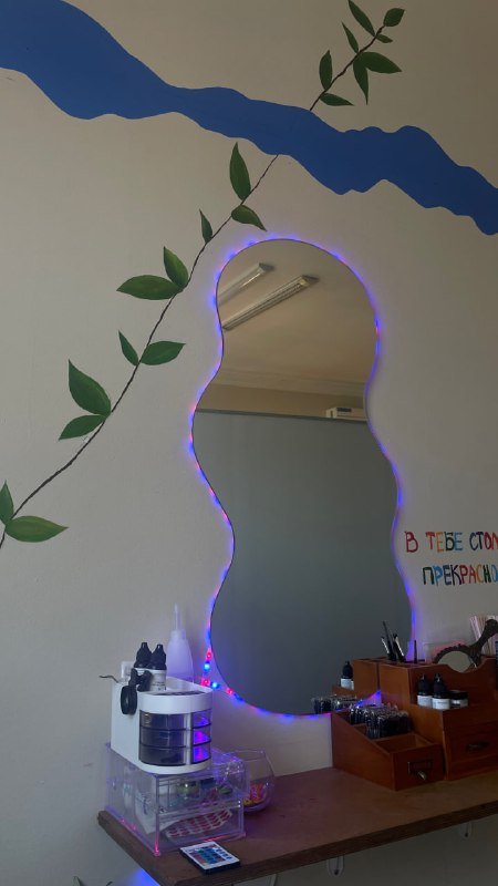 Офисный стул, ковер, лампы, массажер, фотоаппарат, зеркало, цветы в горшках 5