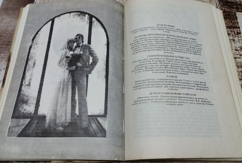 Сказки Золушка, Спящая красавица, Энциклопедия, Новый Завет, Самоучитель грузинского языка, Уроки грузинского языка 5