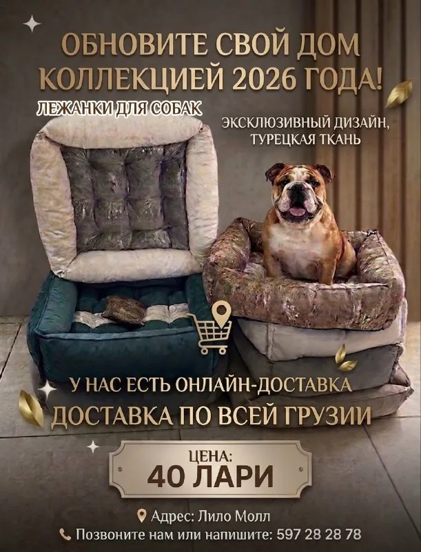 Лежанки для собак