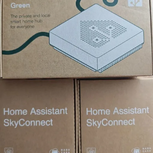 Home Assistant Green, 2 USB адаптера SkyConnect