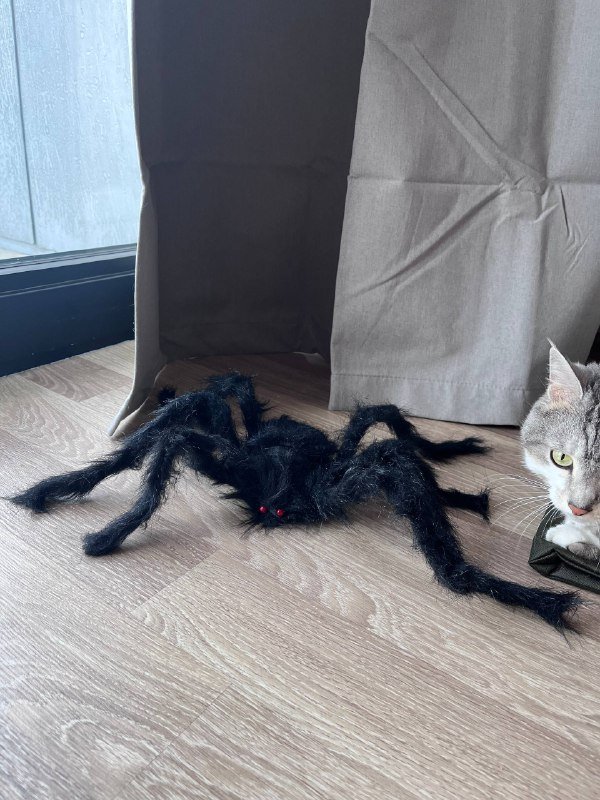 Декор для Хэллоуина 3