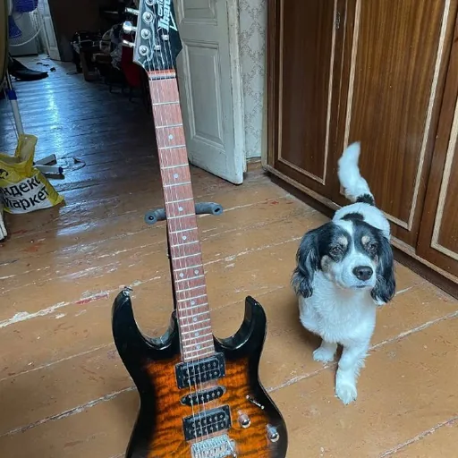 Ibanez GRX70QA электрогитара, чехол