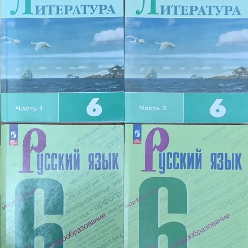 Учебники русский язык и литература, 6 класс