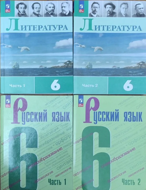 Учебники русский язык и литература, 6 класс 1