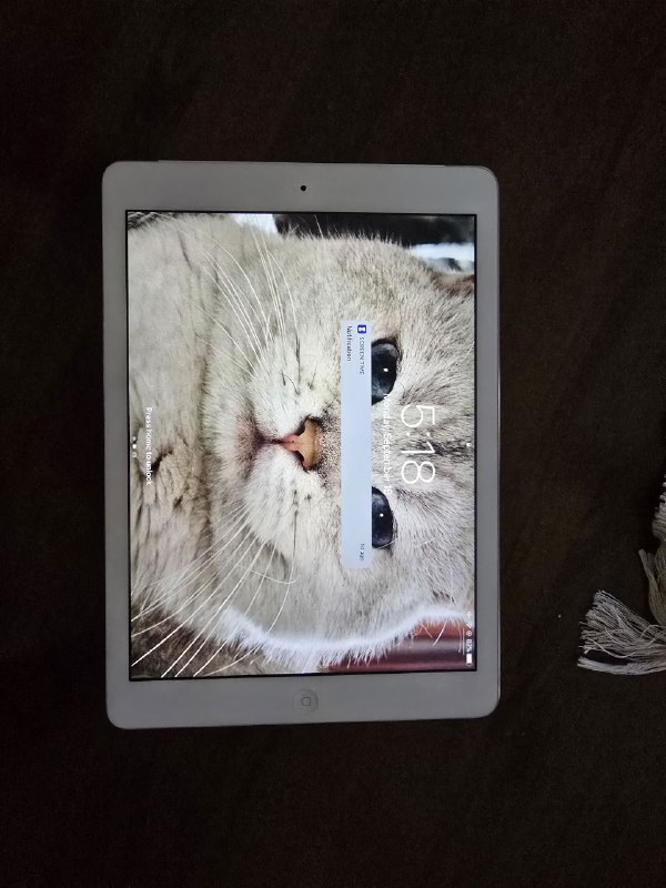 iPad Air 1