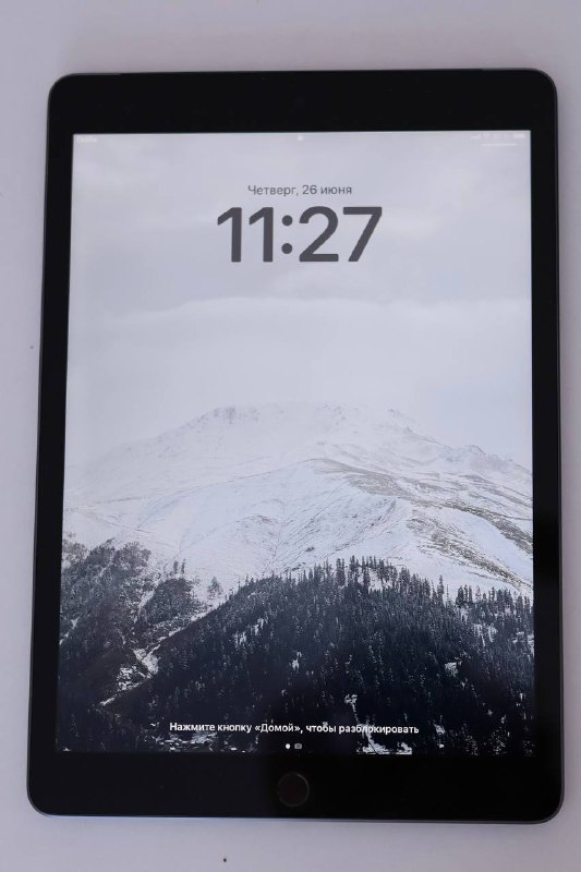iPad 9 2021 cellular 64GB space grey