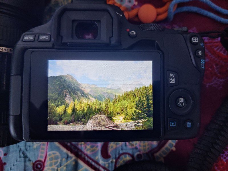 Фотоаппарат Canon EOS 250D, 3 линзы и аксессуары 4