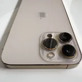 iPhone 13 Pro Max, 256 ГБ, Gold 3