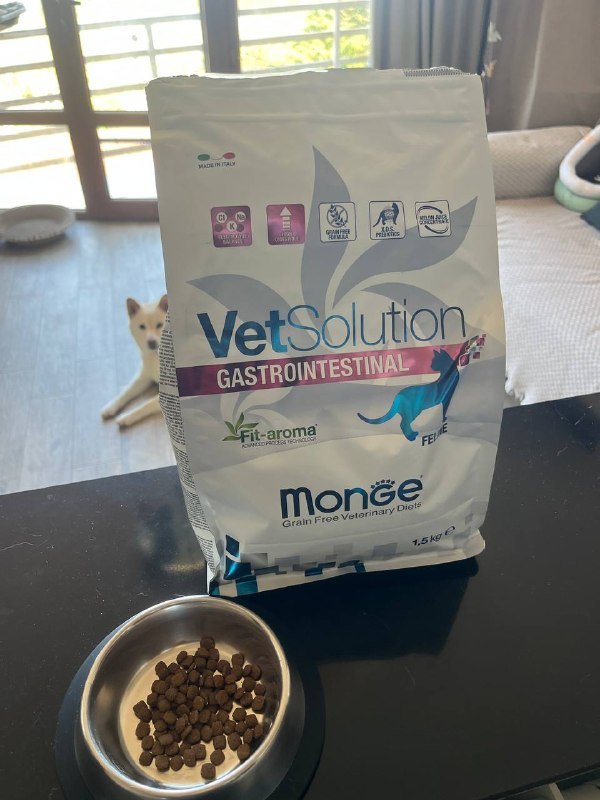 Корм Monge Gastro для кошек