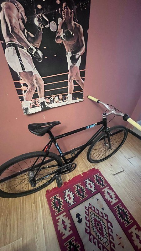 Bicycle SE BIKES TRIPEL, pump, straps, chain lube, bottle holder 2