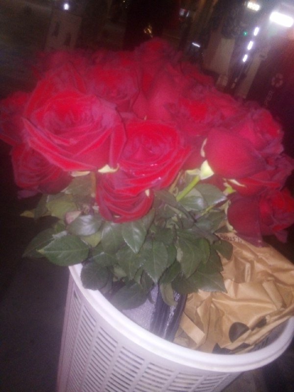 большой букет свежих роз 2