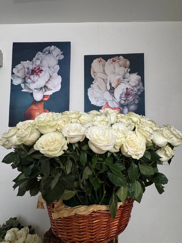 Букет белых роз из более 101 цветка 2