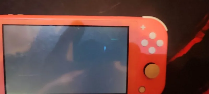 Nintendo Switch Lite с картриджем Super Smash Bros. Ultimate и microSD 128 ГБ 1