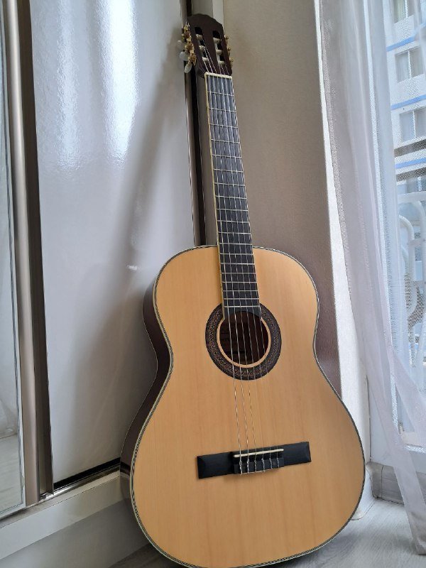 Гитара классическая Gewa Pure с чехлом