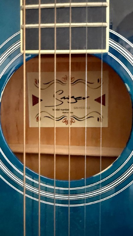 Гитара Singer 2
