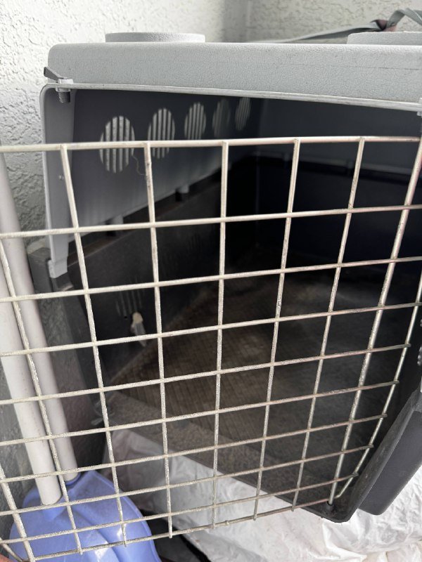 Переноска для животных, средний размер 2