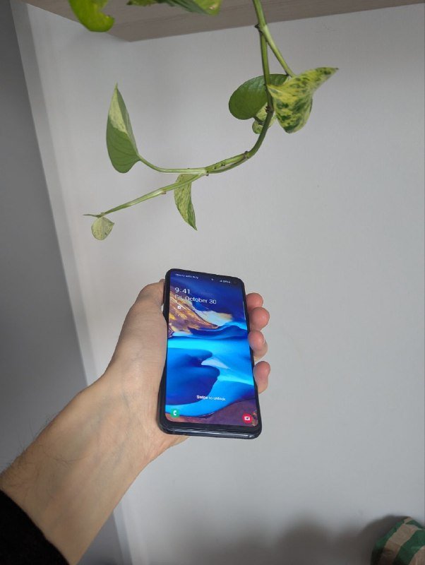 Samsung Galaxy S10e