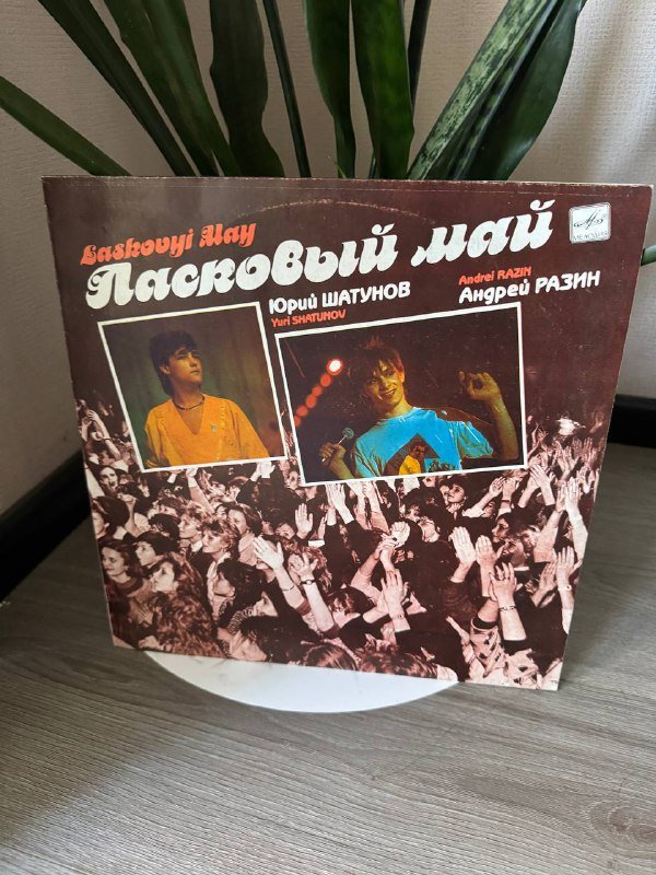 Виниловые пластинки (коллекция) Lan Del Rey, Chemical Brothers и др. 10