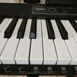 Синтезатор Casiotone LK-S250 4
