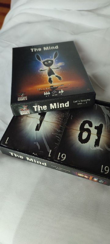 Инструкция к жизни, игра Азул, Cluedo, The Mind, пазл Ван Гог, разговорник 9