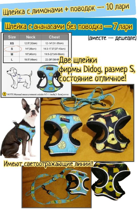 Конусы и миска для питомцев, шлейки, поводки, ошейники, лежанка
