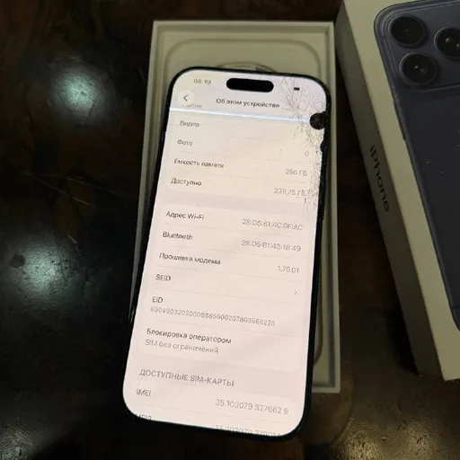 iPhone