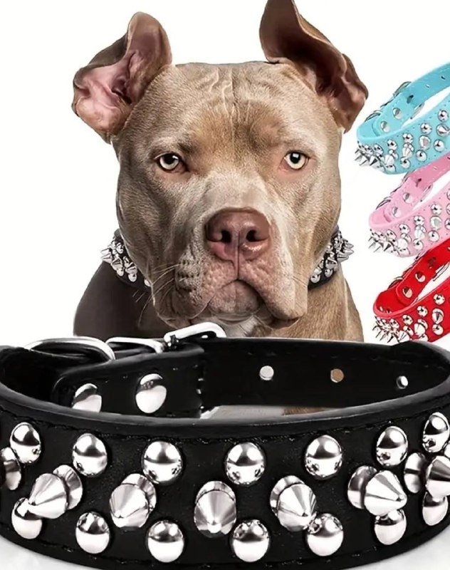 Кожаный ошейник для собак размер XXL черный 3