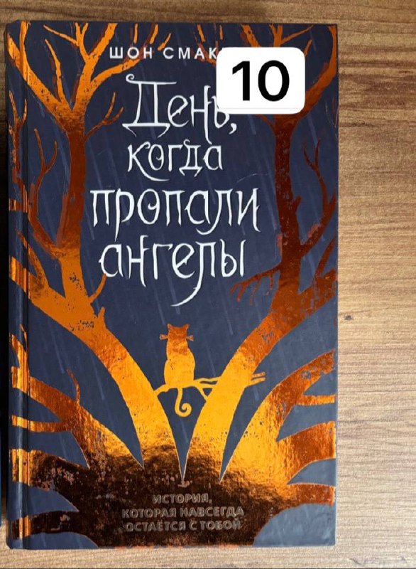 Сито, сушилки, корзинки, кроссовки, игрушка для собак, шлейка, елка, книга, термобутылка, свитшот 5