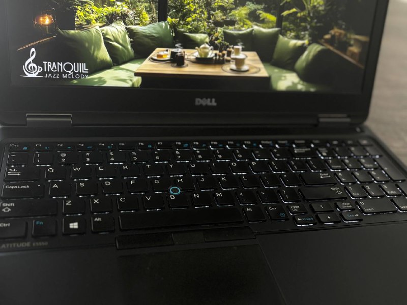 Носимый ноутбук Dell Latitude E5550 4