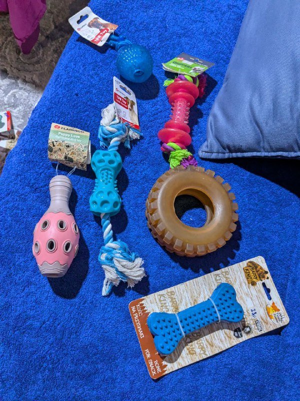 Игрушки для собак