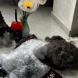Хэллоуинские украшения, коробка с наполнением 9