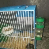 Клетка для хомячка 1