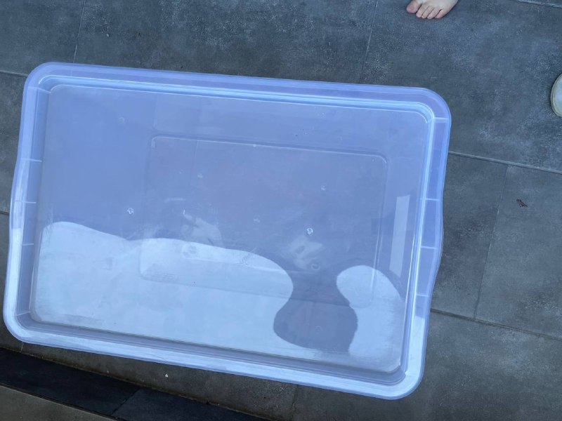 Большой пластиковый контейнер с крышкой