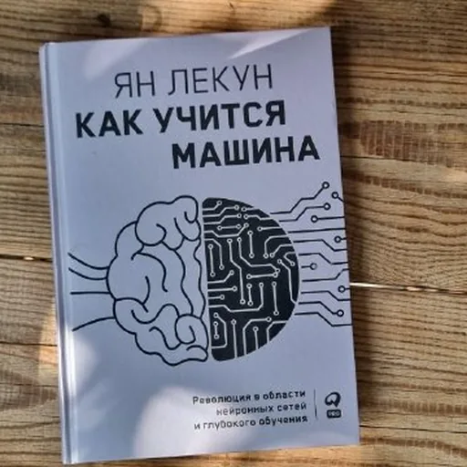 Книга «Как учится машина»