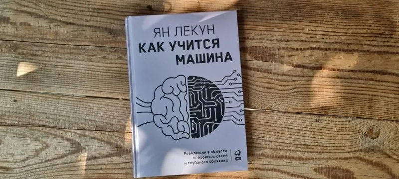 Книга «Как учится машина»