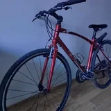 Momentum Giant 2