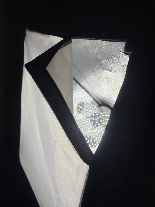 Два софт-бокса с лампами и стойками 4