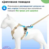 Анатомическая шлейка с поводком и адресником 7