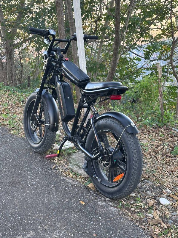 Электровелосипед Engwe M20 с мотором 750W 5